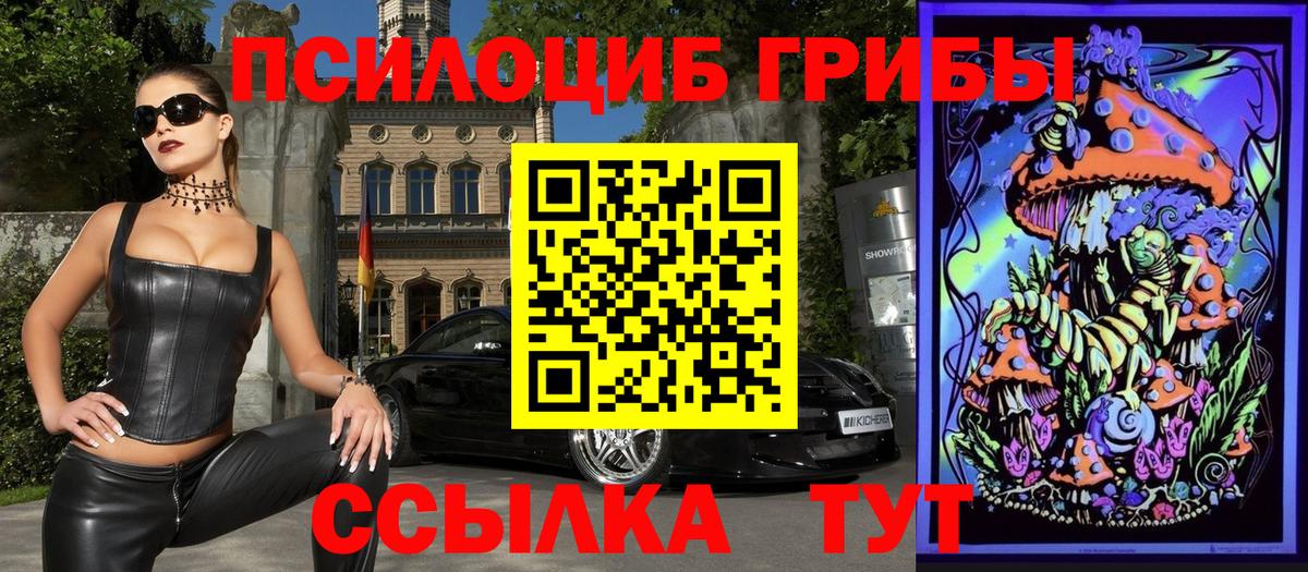 Холмск  Галлюциногенные грибы Psilocybine cubensis  Псилоцибиновые грибы прущие грибы  Вход с VPN 